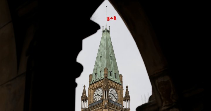 Canadian flag will return to full mast after Remembrance Day: ministers – National