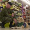 Health Canada to fund training of service dogs to help veterans with PTSD – National