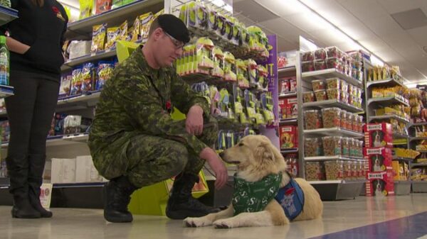 Health Canada to fund training of service dogs to help veterans with PTSD – National