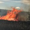 Major fire tears through Quesnel, B.C. log yard – BC