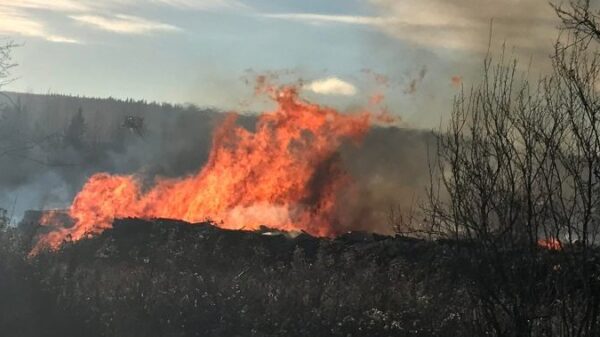 Major fire tears through Quesnel, B.C. log yard – BC