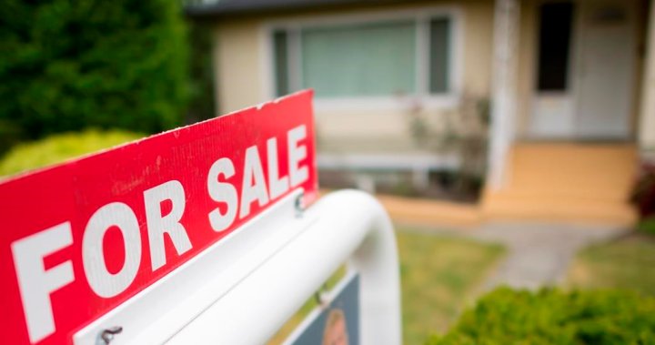 B.C. to bring in ‘cooling off periods’ amid soaring real estate sales