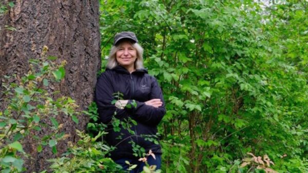 B.C. professor’s Mother Tree research branches out to bestselling book, movie deal