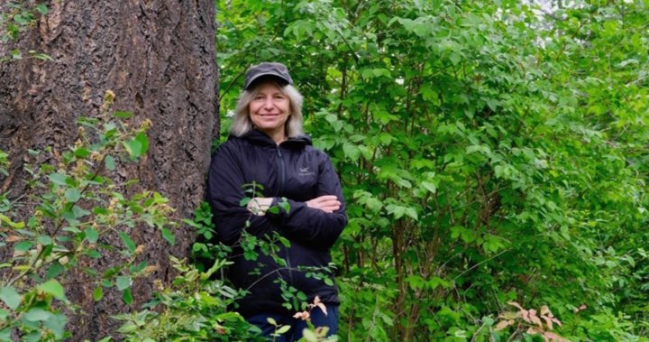 B.C. professor’s Mother Tree research branches out to bestselling book, movie deal