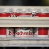 Budweiser Tries to Make Beer Shares Trendy Once more