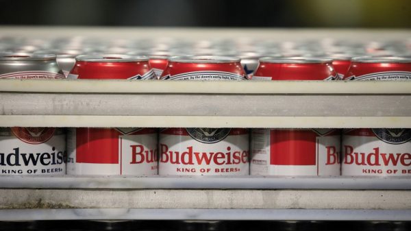 Budweiser Tries to Make Beer Shares Trendy Once more