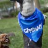 Chewy Must Train Itself Extra Tips