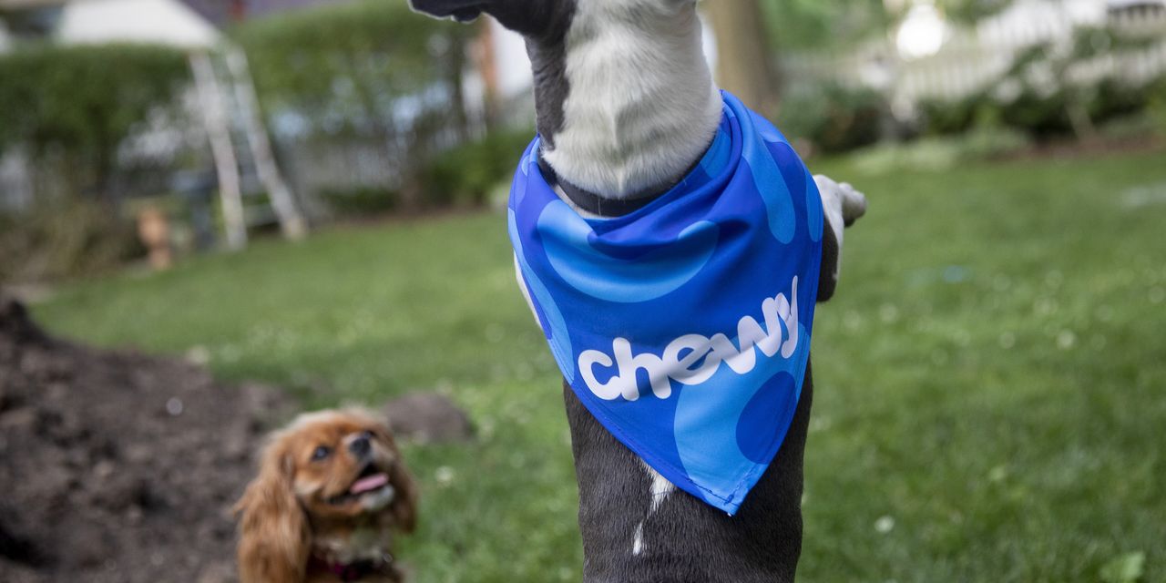 Chewy Must Train Itself Extra Tips