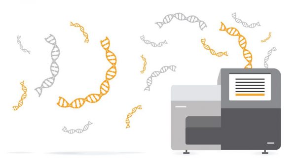 How Sequencing Covid-19’s Viral Genome Helps Hunt for Variants