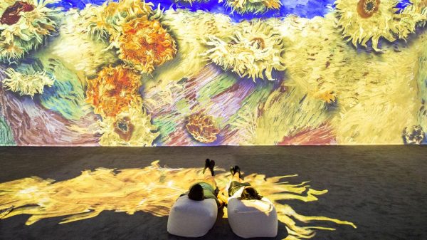 Artwork Museums vs. Immersives: Do You Need to See a Van Gogh or Be in One?