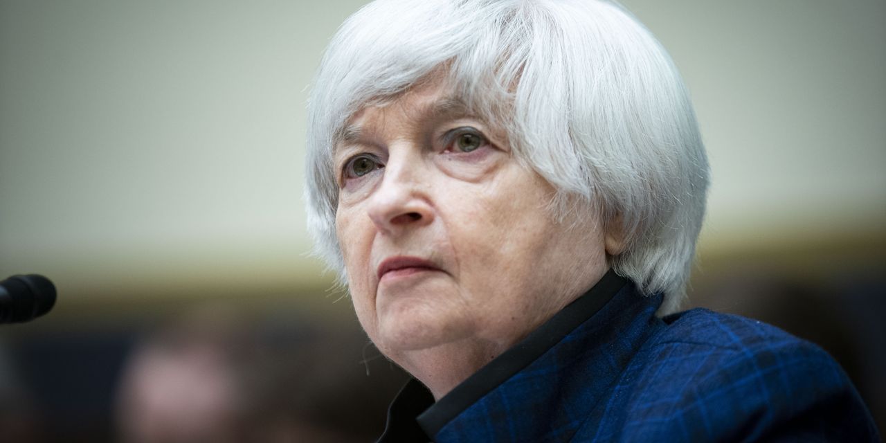 Janet Yellen Walks Political Tightrope to Ship on Biden’s Local weather Guarantees