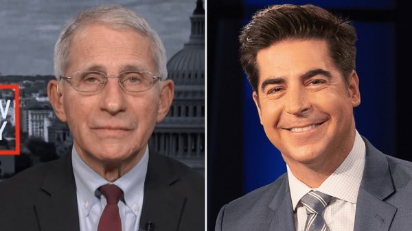 Fauci says Fox Information anchor 'ought to be fired on the spot' over 'kill shot' remark