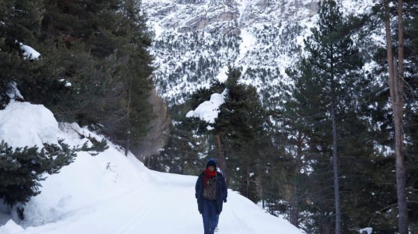 Within the frigid Alps, native volunteers supply migrants heat hearts and luxury