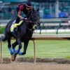 Kentucky Derby winner Medina Spirit collapses, dies in California