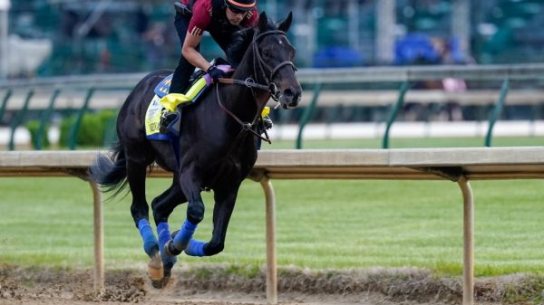 Kentucky Derby winner Medina Spirit collapses, dies in California