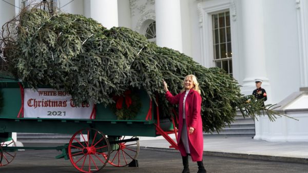 WATCH: Biden and Harris attend Nationwide Christmas Tree lighting ceremony on the White Home