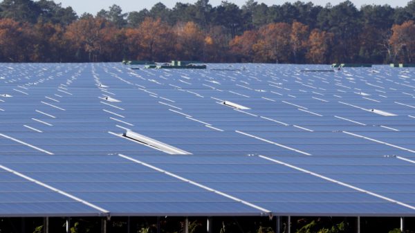 Biden administration approves enlargement of solar energy on U.S. land