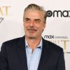 Intercourse And The Metropolis star Chris Noth denies rape allegations, Leisure Information & High Tales