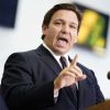 High DeSantis official embraced important race principle in dissertation