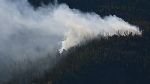 Colorado: Incendio forestal provoca evacuaciones cerca de Idaho Springs