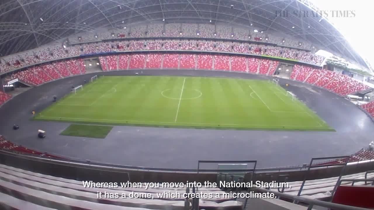 Soccer: A take a look at how the Nationwide Stadium’s pitch is ready for the Suzuki Cup, Soccer Information & High Tales