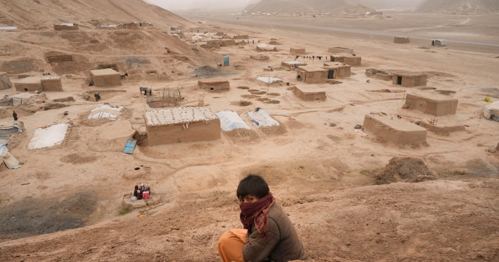 Afghanistan’s local weather change exacerbating poverty as humanitarian disaster looms – Nationwide