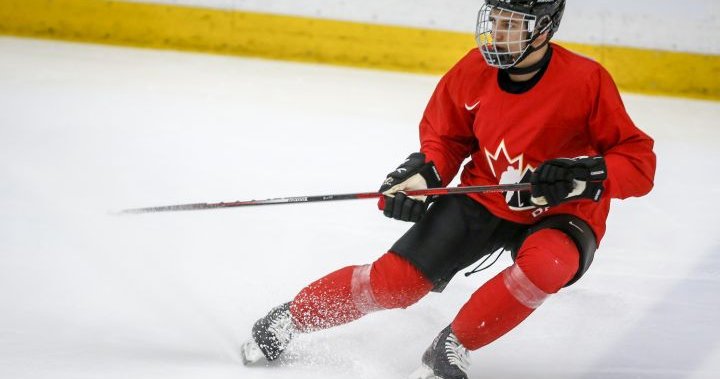 Bedard goals to hitch Gretzky, Crosby, McDavid in taking part in for Canadian junior hockey crew at 16