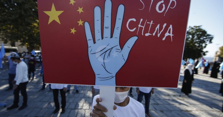 British tribunal guidelines China’s Xi has dedicated genocide in opposition to Uyghurs in Xinjiang – Nationwide