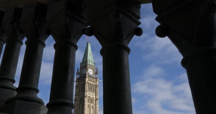 Speaker guidelines board didn’t have authority to impose vaccine mandate in Commons – Nationwide