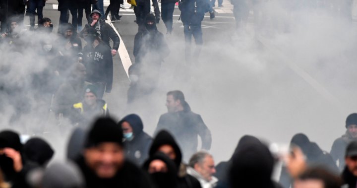 Belgian police use water, tear gasoline on COVID-19 protesters – Nationwide