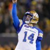 Winnipeg Blue Bombers take dwelling Gray Cup in time beyond regulation win in opposition to Hamilton Tiger-Cats