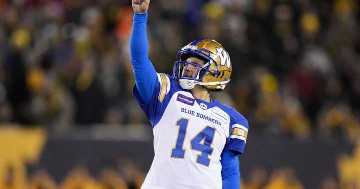 Winnipeg Blue Bombers take dwelling Gray Cup in time beyond regulation win in opposition to Hamilton Tiger-Cats