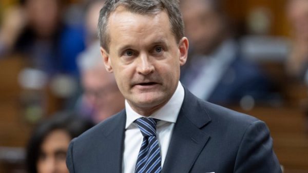 Labour Minister Seamus O’Regan says he has examined constructive for COVID-19 – Nationwide