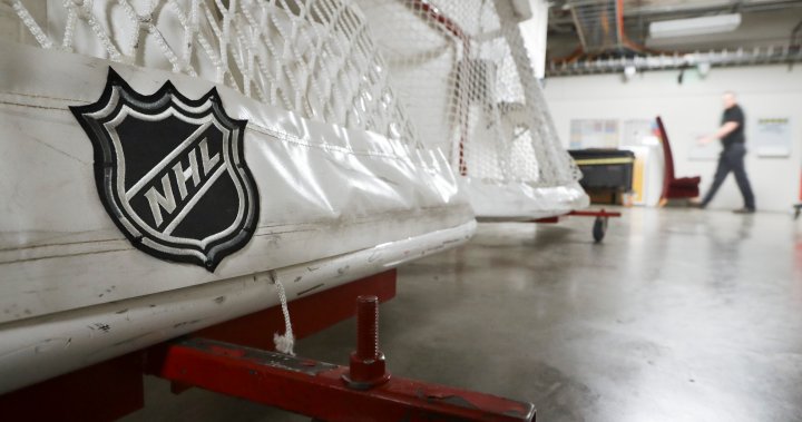 NHL, gamers’ affiliation announce 4-day shutdown ending Boxing Day – Nationwide