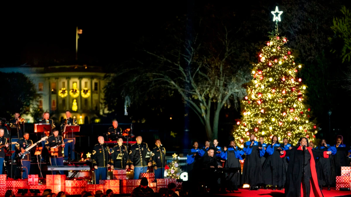 In Images: White Home Bedecked for Christmas