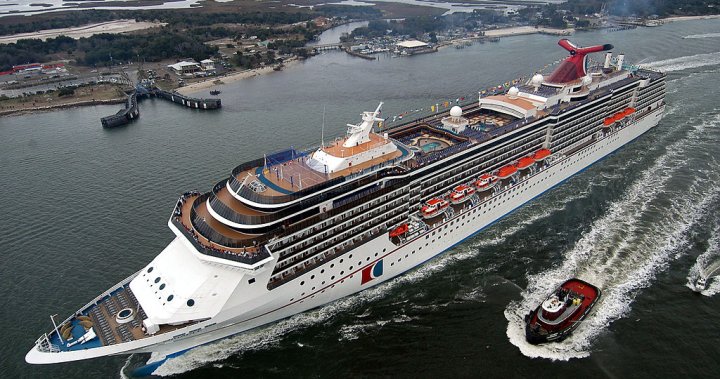 Search known as off for lacking girl who fell overboard on cruise ship, FBI takes over – Nationwide