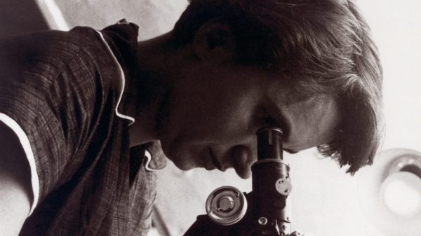 Meet Rosalind Franklin, a sidelined determine within the historical past of DNA science