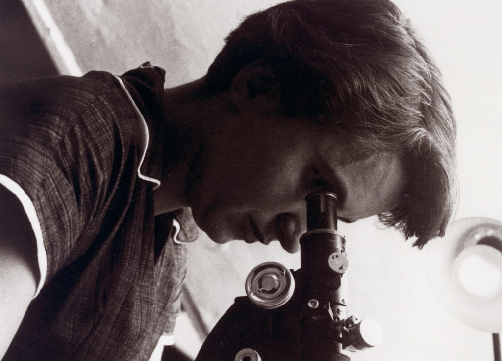 Meet Rosalind Franklin, a sidelined determine within the historical past of DNA science