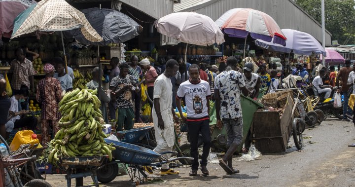 Omicron COVID-19 variant was in Nigeria in October, well being officers say – Nationwide