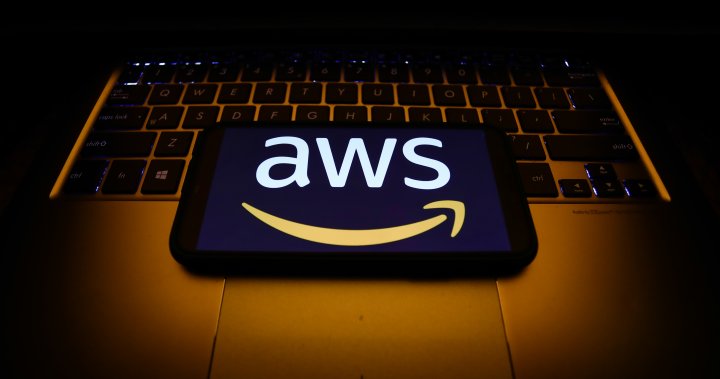 Amazon Internet Providers outage resolved, firm says – Nationwide