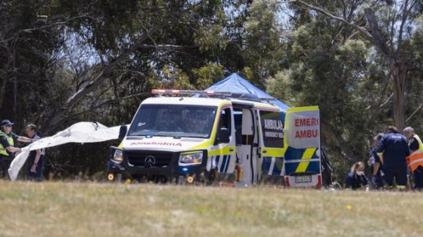 5 kids useless after ‘horrific’ bouncy fortress incident in Australia – Nationwide