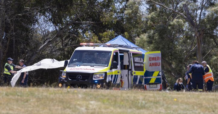 5 kids useless after ‘horrific’ bouncy fortress incident in Australia – Nationwide