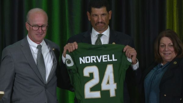 Jay Norvell launched as subsequent Colorado State soccer coach