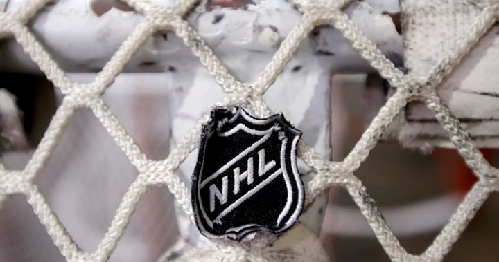 Cross border NHL video games postponed by means of vacation break