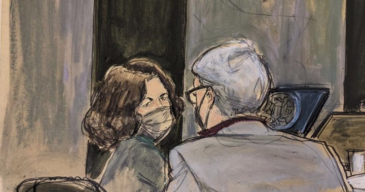 Accuser testifies Maxwell, Epstein violated her at age 16: ‘I felt sick to my abdomen’ – Nationwide