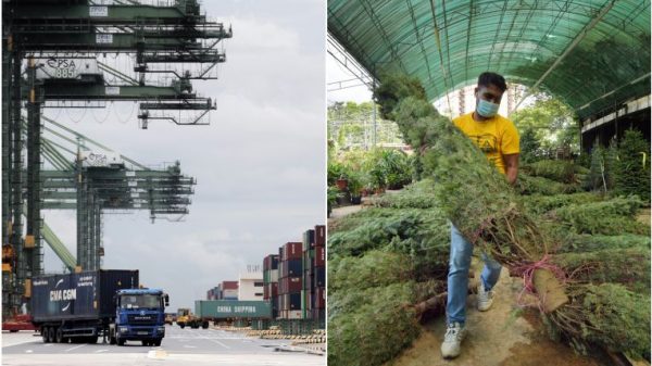 Provide chains, interrupted: Retailers in S’pore race to replenish festive shares, Economic system Information & Prime Tales