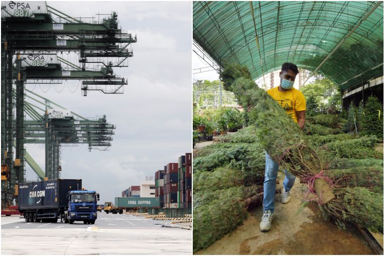 Provide chains, interrupted: Retailers in S’pore race to replenish festive shares, Economic system Information & Prime Tales