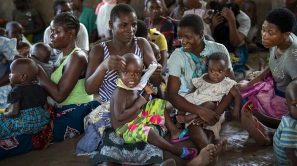 COVID disrupted world malaria battle, resulting in 1000’s extra deaths: WHO – Nationwide