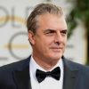 Intercourse And The Metropolis actor Chris Noth hit with new sexual assault declare