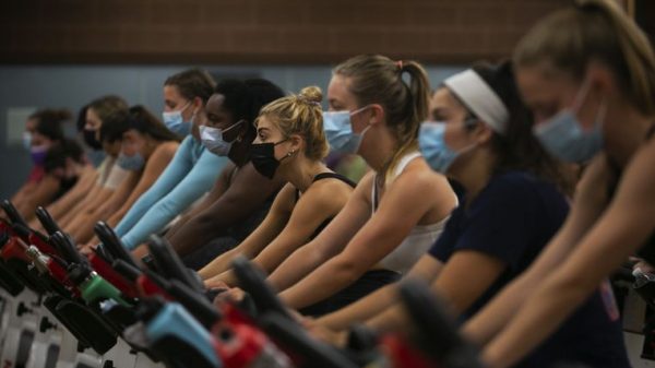 Need to get folks to work out? Pay them, says a examine, Life Information & Prime Tales